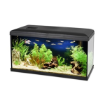 PACIFIC 60 akvárium 54l 60x30x30cm s výbavou s LED