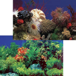 PENN PLAX Pozadí oboustr. 50cm/15m AmazonWaters/Coral