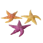 EBI AQUA DELLA mořské hvězdice mix 17 x 15 x 2,3cm 1ks