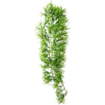 HOBBY TROPICA popínavá rostlina dekorace do terária 70 cm