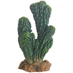 HOBBY Kaktus Victoria 19cm