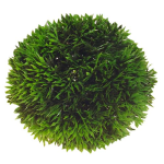 HOBBY Rostlina umělá Plant Ball  9cm