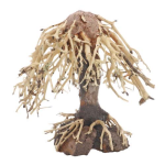DUPLA Weeping Willow 1 -Přírodní dřevěná dekorace do sladkovodního akvária 15x10x16 cm